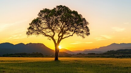 Majestic Lone Tree Against Vibrant Sunset Over Mountain Landscape