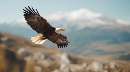 Obraz premium A bald eagle soaring high above a mountain range sharp eyes with detailed feathers and a powerful beak