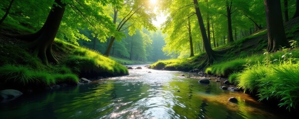 Obraz premium Gurgling spring river flows through lush green forest, sunlight dappling water , flowing, landscape, bank