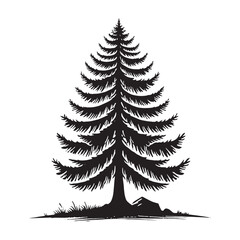 Elegant Fir Tree silhouette perfect for modern decor - Fir tree silhouette - Fir tree vector - Banyan tree illustration - Fir silhouette - Fir vector
