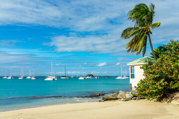 Palm tree on the beach of Grand Case, on the French side of the Caribbean island of Saint Martin...