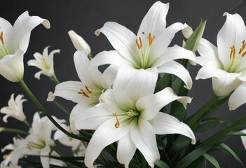 Fototapeta premium Elegant floral abstract art with white lilies, elegant, floral abstract, white flowers, nature