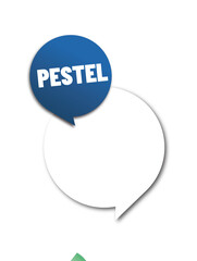 PESTEL - acronyme - Politique, Économique, Socioculturel, Technologique, Écologique, Légal