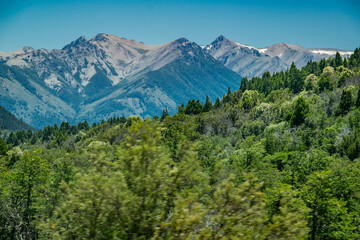 Obraz premium Forest and andes mountains landscape, nahuel haupi park, argentina