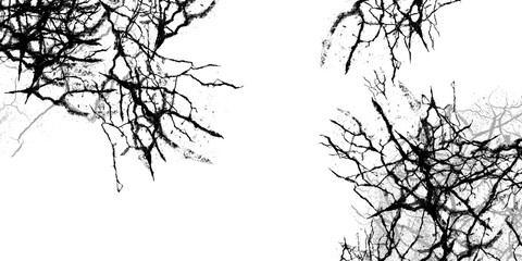 silhouette of a tree cracking pattern background image surface canvas 