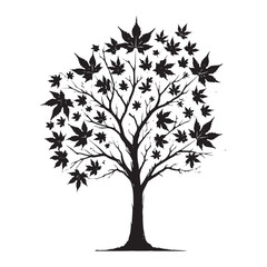 Obraz premium Maple Tree silhouette for graceful and natural design inspiration - Maple tree silhouette - Maple tree vector - Maple tree illustration - Maple silhouette - Maple vector 