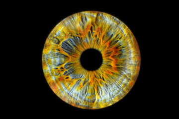 Close up of eye iris on black background, macro, photography	
