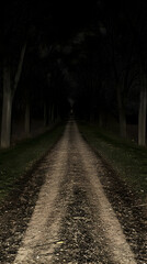 Dark Night Road Illustration