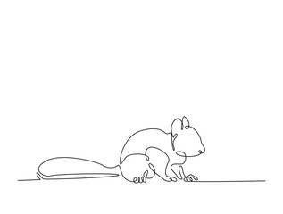Continuous line art drawing of squirrel - animal concept. Squirrel in single line art drawing vector illustration. Editable stroke.