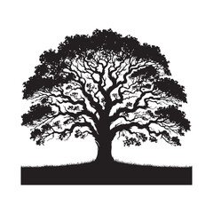 Oak Tree silhouette for beautiful nature-inspired artwork - Oak tree silhouette - Oak tree vector - Oak tree illustration - Oak silhouette - Oak vector
