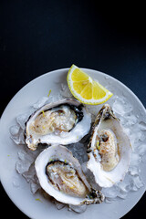 Fresh oysters on a bed of crushed ice with a lemon wedge on a white plate. Elegant seafood presentation with dark background