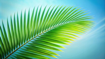Obraz premium Vibrant Green Palm Frond Against a Clear Blue Sky, Symbolizing Summer, Vacation, and Tropical Paradise