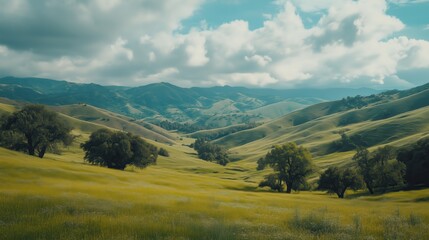 Fototapeta premium The green valley unfolds with rolling hills and vibrant foliage, a perfect haven for exploration and discovery.