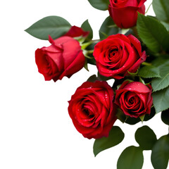 Obraz premium bouquet of red roses isolated white background