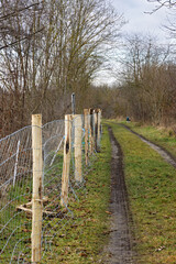 temporary iron fence with wooden posts to contain swine fever in Germany