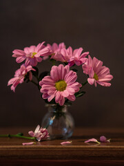 Крупный план фиолетовой хризантемы на темном фоне