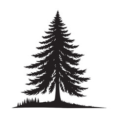 Obraz premium Detailed Pine Tree silhouette for unique and creative designs - Pine tree silhouette - Pine tree vector - Pine tree illustration - Pine silhouette - Pine vector 