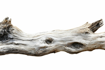Weathered Driftwood Log Isolated on White Background