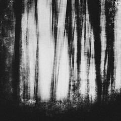 Dark scary forest wallpaper, horror background, old film effect