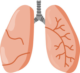 lungs icon
