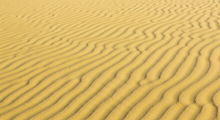 Obraz premium Desert Sand Ripples