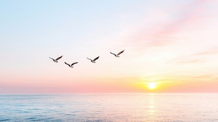 Fototapeta premium Four seagulls fly in formation over a calm ocean during a peaceful sunrise.