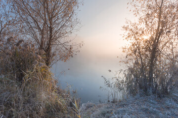 Foggy dawn scenery. Amazing white rime on the trees and dry reeds with reflection in the still water on the dreamy lake on the frosty autumn morning.