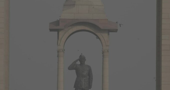 Delhi, India. Birds flying around of Statue of Subhas Chandra Bose. Netaji's Statue, is a monolithic statue made of black granite, dedicated to Netaji Subhas Chandra Bose, Indian freedom fighter and