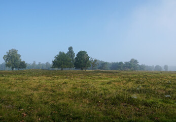 A beautiful dawn landscape at nature reserve Plantage Willem III in Rhenen. The dry, poor grasslands are rich in a varied vegetation of herb-rich grasslands, groups of trees and scrub.  © Leon Hellegers