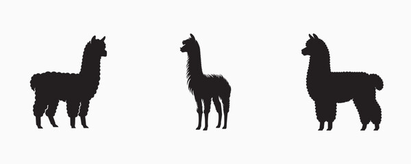 Set of three black alpaca silhouettes in various poses on a light gray background, perfect for logos, prints, and design elements.