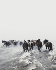 A herd of wild horses running through splashing water with dynamic motion and energy