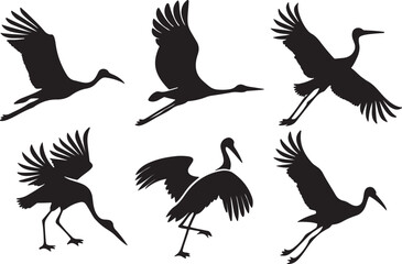 Variant style of stork silhouettes vector illustration, isolated on a white background.