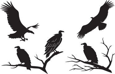 Variant styles of vulture silhouettes are used in vector illustration, isolated on a white background.