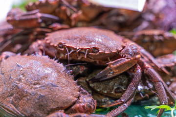 Fresh crabs displayed on a farmer's market stall, surrounded by rustic wooden crates and vibrant produce, emphasizing a healthy, natural lifestyle and sustainable eating habits