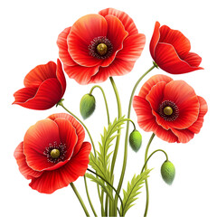 Obraz premium Stylized red poppies flowers
