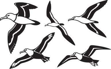 Variant style of albatross silhouettes vector illustration, isolated on white background.