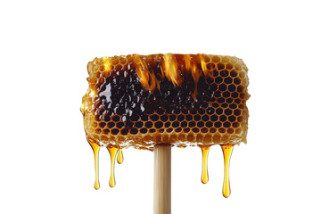 Isolated Honeycomb Piece with Drips on a Stick