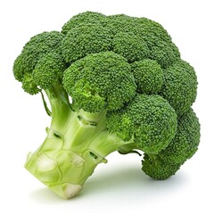 a broccoli isolated on white background