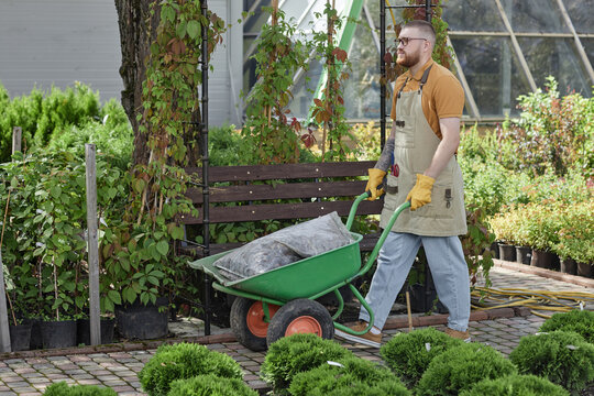 Full length of male horticulturalist wearing apron carrying loaded wheelbarrow along path immersed in fresh greenery while working in plant nursery