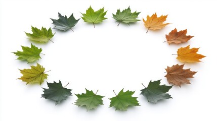 Autumn Maple Leaves Circle Frame