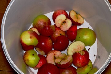 Apple halves in a plastic bucket.