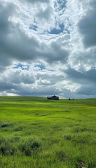 Obraz premium Serene open field with green grass and cloudy sky landscape -