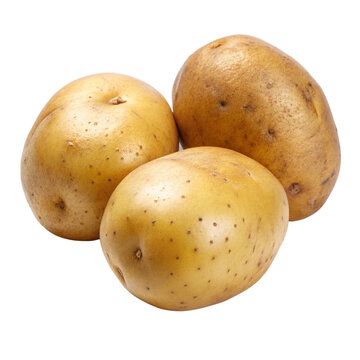 three whole potatoes isolated on transparent background 