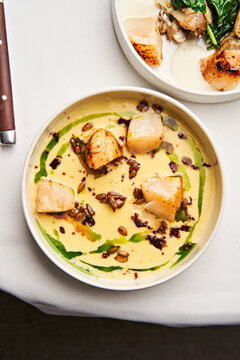 A beautifully plated dish featuring tender fish in a rich, creamy sauce, garnished with fresh herbs and textures, presented on a refined dining table during an evening meal