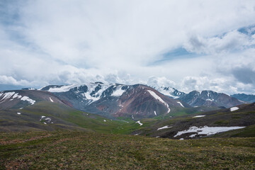 Fototapeta premium Dramatic view from flowering hill to green alpine valley among rock hills with snowfields and large snow-capped mountain range under cloudy gray sky. Stony grassy pass and beautiful snowy mountains.
