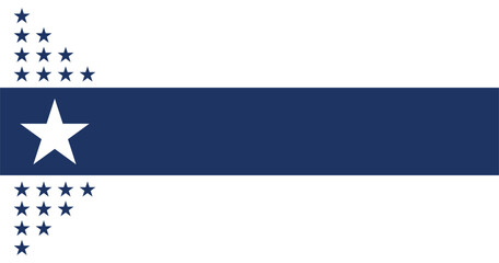 Illinois Centennial Flag Vector Illustration Premium Quality