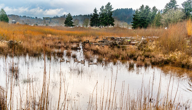 Winter River Greese