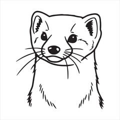 Pine Marten - Elusive and Graceful Woodland Hunter