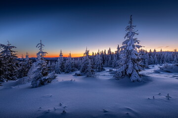 Winter landscape of Šumava. Beautiful landscape picture. Nature of Šumava. Czech Republic. Winter motif. Snowy region. Sunrise over the mountains. 