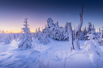 Winter landscape of Šumava. Beautiful landscape picture. Nature of Šumava. Czech Republic. Winter motif. Snowy region. Sunrise over the mountains. 